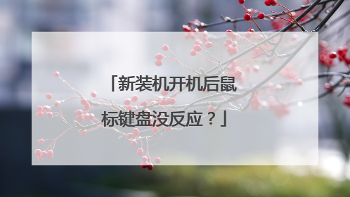 新装机开机后鼠标键盘没反应?