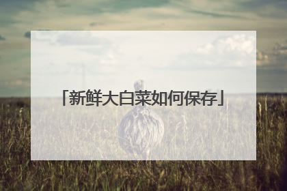 新鲜大白菜如何保存
