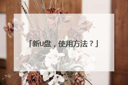 新U盘，使用方法？