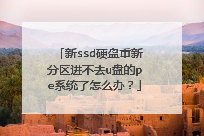 新ssd硬盘重新分区进不去u盘的pe系统了怎么办?