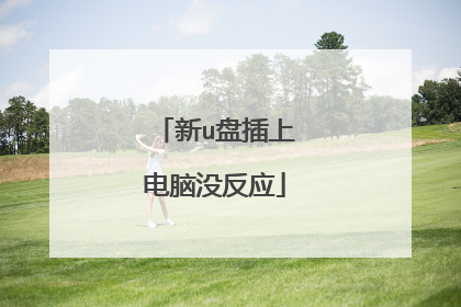 新u盘插上电脑没反应