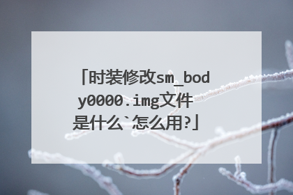 时装修改sm_body0000.img文件是什么`怎么用?