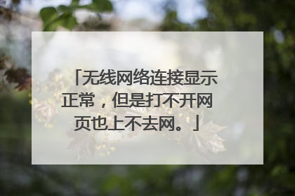 无线网络连接显示正常,但是打不开网页也上不去网。