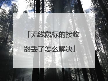 无线鼠标的接收器丢了怎么解决