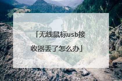 无线鼠标usb接收器丢了怎么办