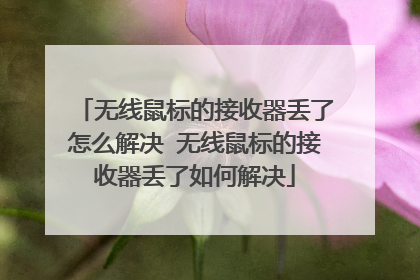 无线鼠标的接收器丢了怎么解决 无线鼠标的接收器丢了如何解决
