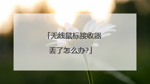 无线鼠标接收器丢了怎么办?