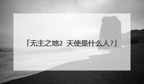 无主之地2 天使是什么人?