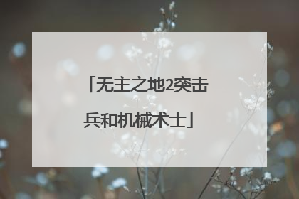 无主之地2突击兵和机械术士