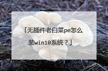 无插件老白菜pe怎么装win10系统?