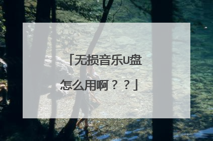无损音乐U盘怎么用啊??