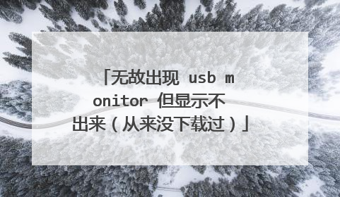 无故出现 usb monitor 但显示不出来(从来没下载过)