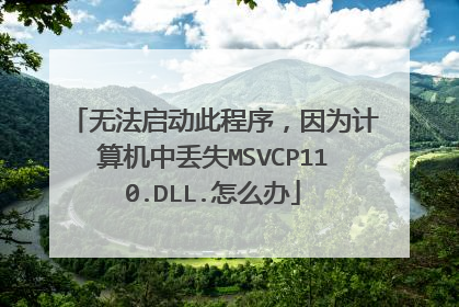 无法启动此程序,因为计算机中丢失MSVCP110.DLL.怎么办