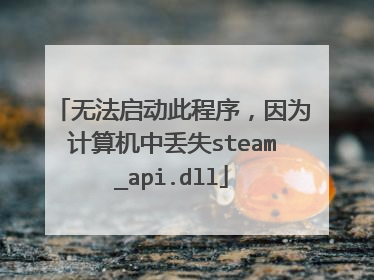 无法启动此程序,因为计算机中丢失steam_api.dll