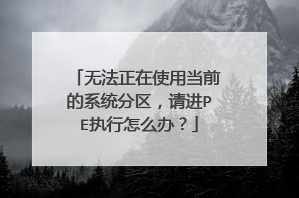 无法正在使用当前的系统分区，请进PE执行怎么办？