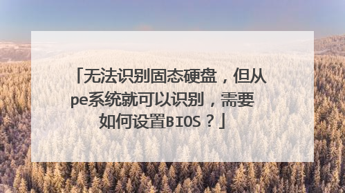 无法识别固态硬盘,但从pe系统就可以识别,需要如何设置BIOS?