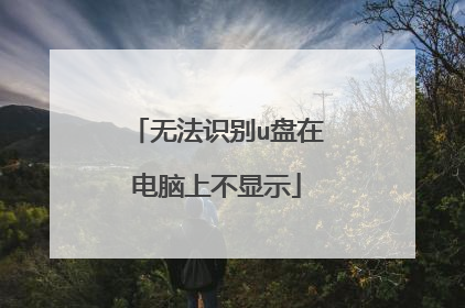 无法识别u盘在电脑上不显示