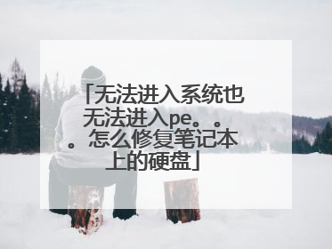 无法进入系统也无法进入pe。。。怎么修复笔记本上的硬盘