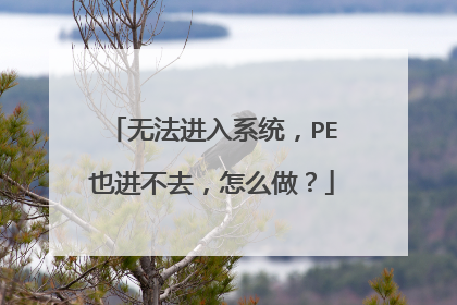 无法进入系统,PE也进不去,怎么做?