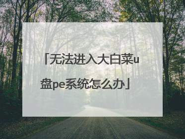 无法进入大白菜u盘pe系统怎么办