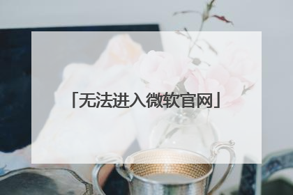 无法进入微软官网