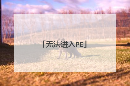无法进入PE