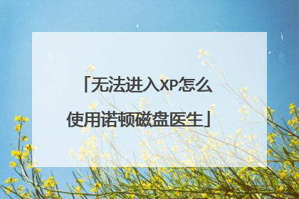 无法进入XP怎么使用诺顿磁盘医生
