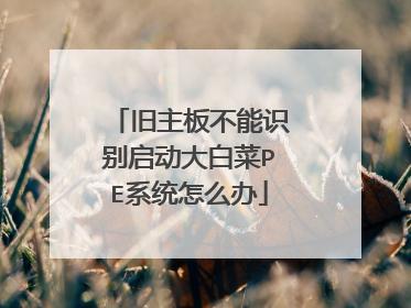 旧主板不能识别启动大白菜PE系统怎么办