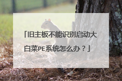 旧主板不能识别启动大白菜PE系统怎么办？