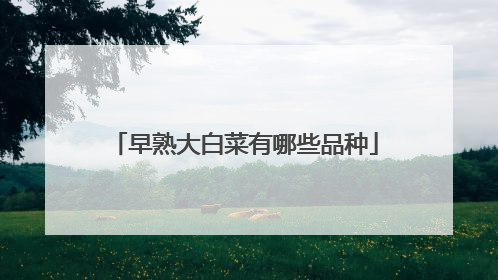 早熟大白菜有哪些品种