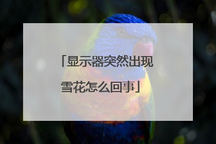 显示器突然出现雪花怎么回事