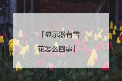 显示器有雪花怎么回事