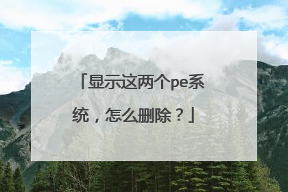 显示这两个pe系统，怎么删除？