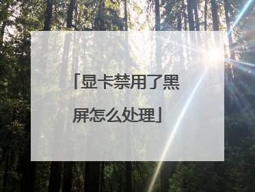 显卡禁用了黑屏怎么处理