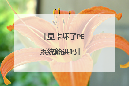显卡坏了PE系统能进吗