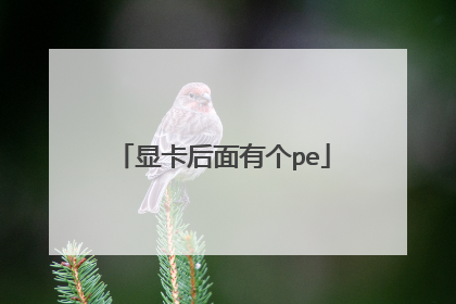 显卡后面有个pe