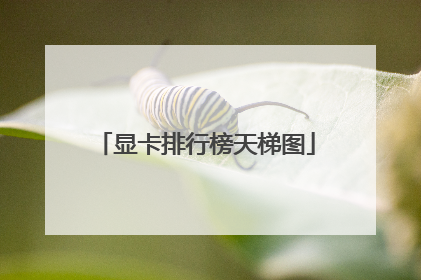 显卡排行榜天梯图
