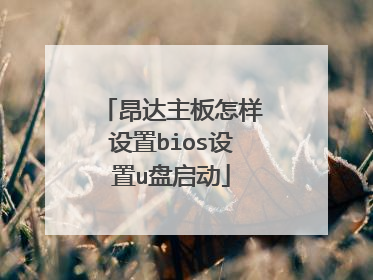 昂达主板怎样设置bios设置u盘启动