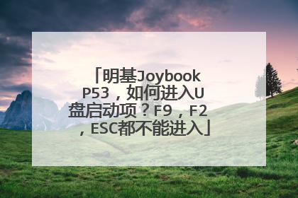 明基Joybook P53,如何进入U盘启动项?F9,F2,ESC都不能进入