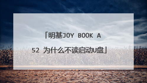 明基JOY BOOK A52 为什么不读启动U盘
