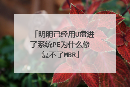 明明已经用U盘进了系统PE为什么修复不了MBR