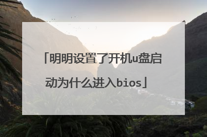 明明设置了开机u盘启动为什么进入bios