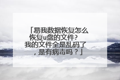 易我数据恢复怎么恢复u盘的文件? 我的文件全是乱码了,是有病毒吗?