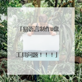 易语言制作U盘工具问题!!!