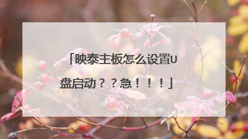 映泰主板怎么设置U盘启动??急!!!