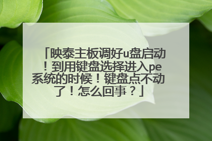 映泰主板调好u盘启动!到用键盘选择进入pe系统的时候!键盘点不动了!怎么回事?