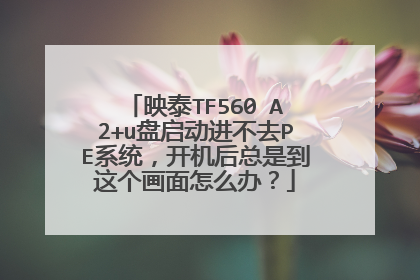 映泰TF560 A2+u盘启动进不去PE系统，开机后总是到这个画面怎么办？