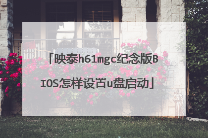 映泰h61mgc纪念版BIOS怎样设置u盘启动