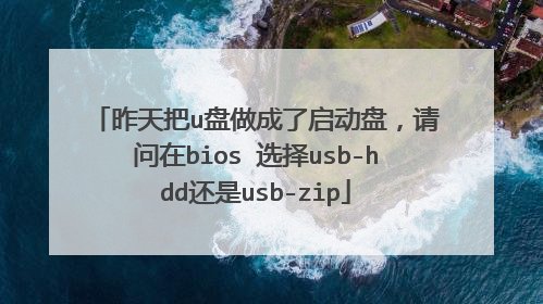 昨天把u盘做成了启动盘，请问在bios 选择usb-hdd还是usb-zip