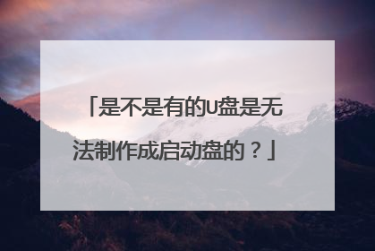 是不是有的U盘是无法制作成启动盘的？